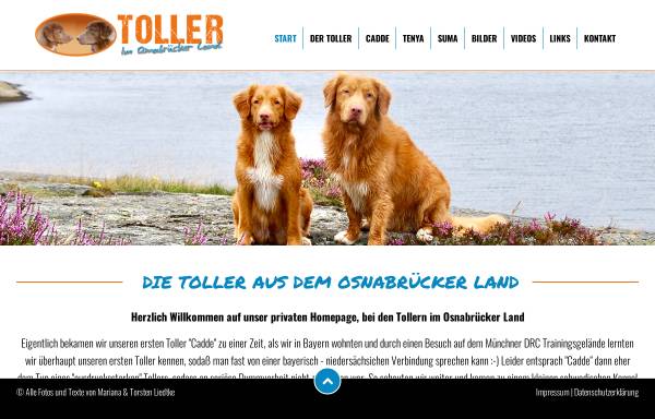 Vorschau von www.toller-os.de, Toller im Osnabrücker Land