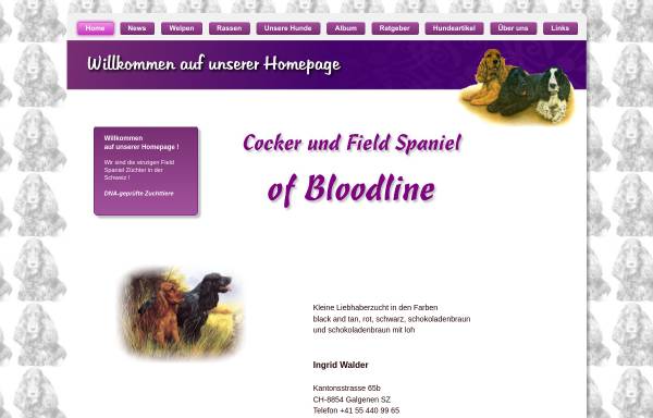 Vorschau von www.bloodline.ch, Cocker and Field Spaniel of Bloodline
