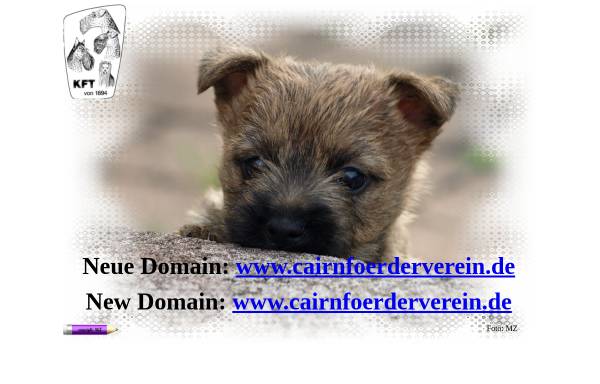 Vorschau von www.cairn-foerderverein.de, Cairn Terrier Förderverein