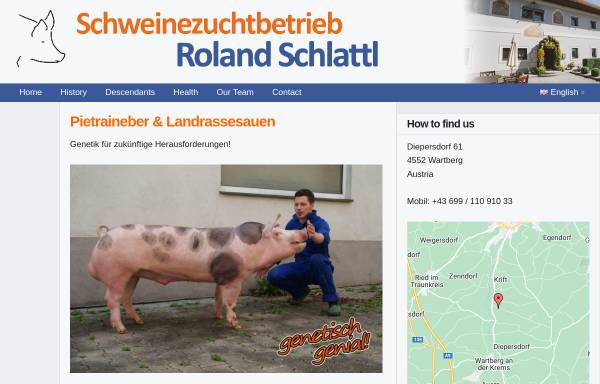 Vorschau von www.eberzucht.at, Schweinezuchtbetrieb Schlattl
