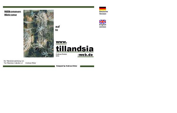 Tillandsien-Sammlung von A. Boeker