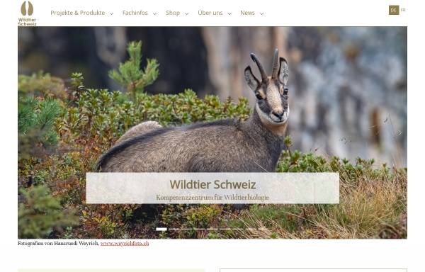 Vorschau von www.wildtier.ch, Wildtier Schweiz