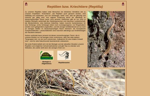 Tier und Natur: Reptilien bzw. Kriechtiere (Reptilia)