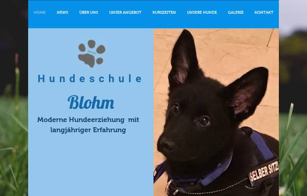 Vorschau von hundeschule-blohm.com, Hundeschule Blohm