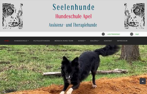 Vorschau von www.hundeschule-apel.de, Hundeschule Apel