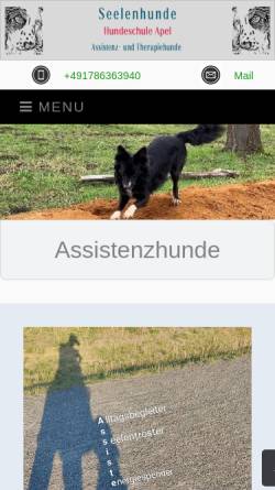 Vorschau der mobilen Webseite www.hundeschule-apel.de, Hundeschule Apel