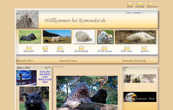Vorschau von www.komondor.de, König der Hirtenhunde