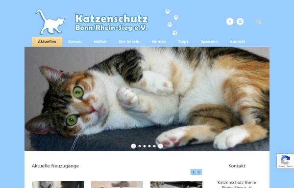 Vorschau von www.katzenschutz-ev.de, Katzenschutz Bonn/Rhein-Sieg e.V.
