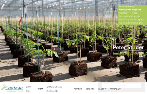 Vorschau von www.peterstader.de, Peter Stader Jungpflanzen