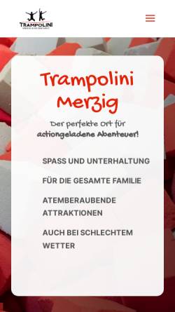 Vorschau der mobilen Webseite www.trampolini.de, Trampolini GmbH Wolfgang Hilgert und M. Theis
