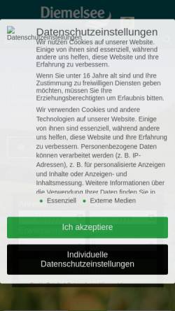 Vorschau der mobilen Webseite www.diemelsee.de, Gemeinde Diemelsee