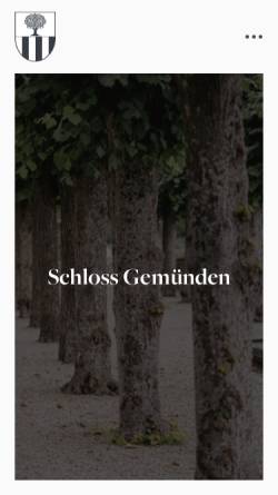 Vorschau der mobilen Webseite www.schloss-gemuenden.de, Schloss Gemünden
