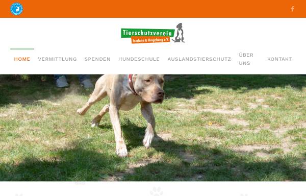Vorschau von www.tierheim-iserlohn.de, Tierschutzverein Iserlohn und Umgebung e.V.