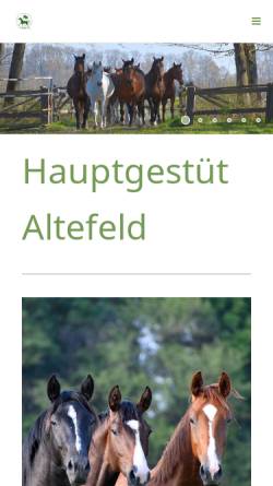 Vorschau der mobilen Webseite www.gestuet-altefeld.de, Hauptgestüt Altefeld