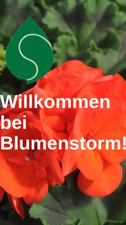 Vorschau der mobilen Webseite www.blumenstorm.de, Blumen Storm