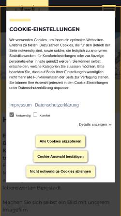 Vorschau der mobilen Webseite www.schneeberg.de, Bergstadt Schneeberg