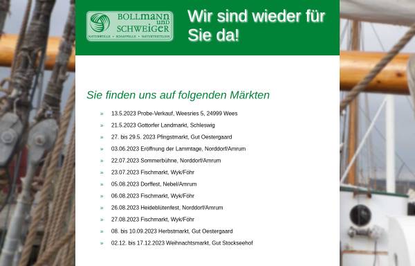 Vorschau von www.bollmann-schweiger.de, Bollmann & Schweiger GbR