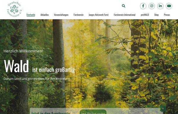 Vorschau von www.forstverein.de, Deutscher Forstverein - DFV
