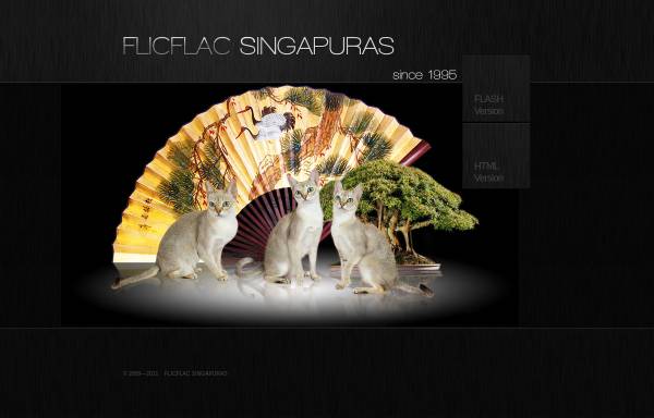 Vorschau von www.singapuras.at, Cattery Flicflac und Contrast