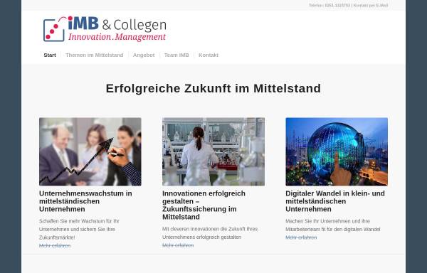 IMB & Collegen - Unternehmensberatung, Internet - Consulting