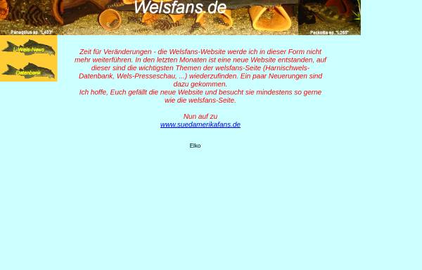 Vorschau von www.welsfans.de, Welsfans