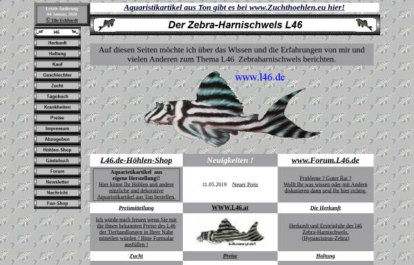Vorschau von www.l46.de, Der Zebra-Harnischwels L46 ( Hypancistrus zebra)