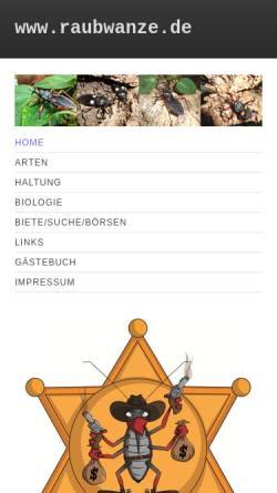 Platymeris - Zweifleck Raubwanze