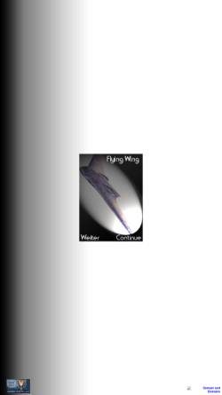 Vorschau der mobilen Webseite www.flying-wing.de, Flying Wing