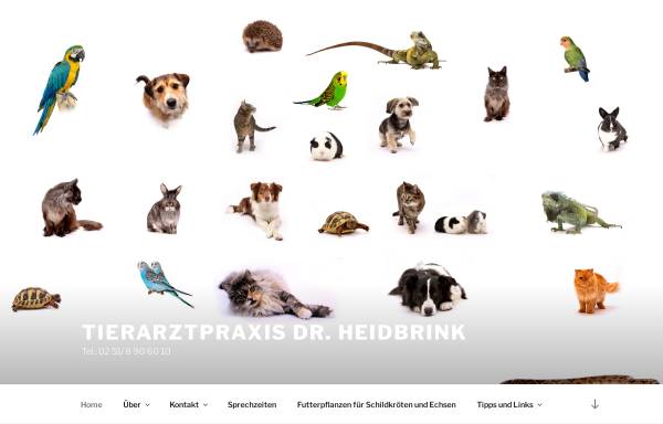 Vorschau von www.tierarztpraxis-dr-heidbrink.de, Dr. med. vet. Stefanie Heidbrink, Prakt. Tierärztin