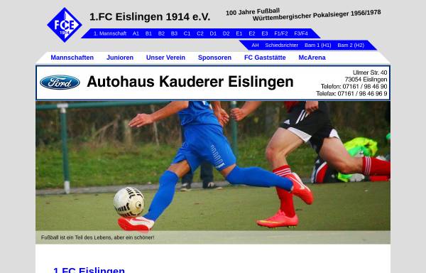 1. FC Eislingen Fussball Aktiv, Junioren, Senioren
