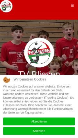 TV Bliesen - Volleyball