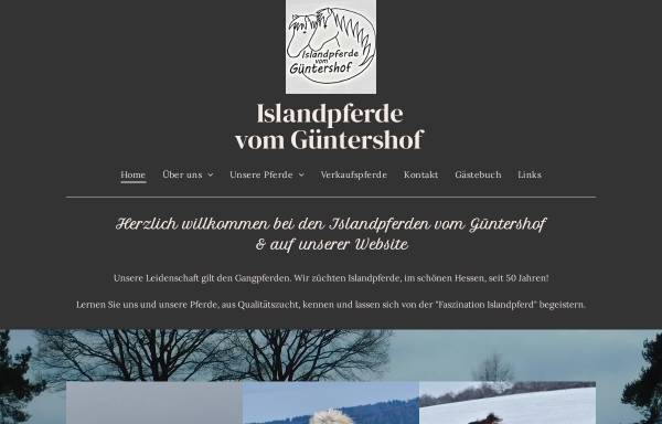 Vorschau von www.islandpferde-vom-guentershof.de, Islandpferde vom Güntershof