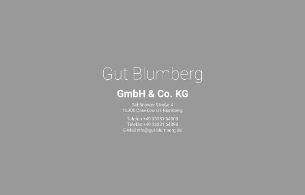 Vorschau von www.gut-blumberg.de, Pension Gut Blumberg