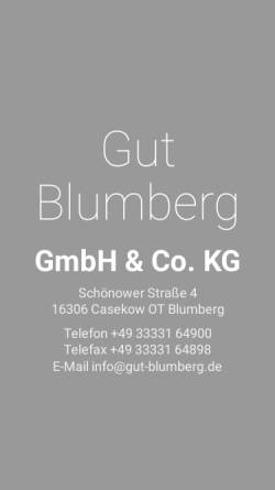 Vorschau der mobilen Webseite www.gut-blumberg.de, Pension Gut Blumberg