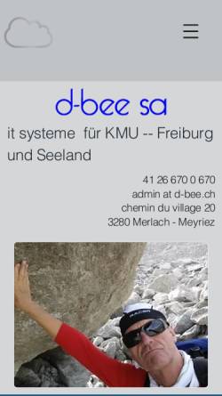 Vorschau der mobilen Webseite www.d-bee.ch, D-Bee AG, Murten