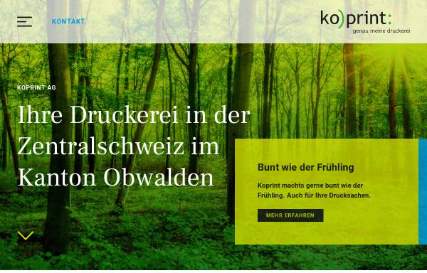 Vorschau von www.koprint.ch, Koprint AG, Kominikation und Druck, Alpnach