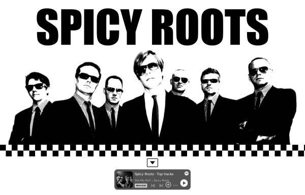 Vorschau von www.spicy-roots.de, Spicy Roots