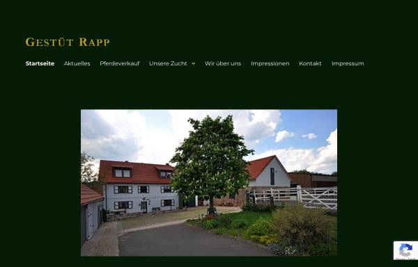 Vorschau von www.gestuet-rapp.de, Gestüt Rapp