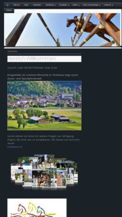 Vorschau der mobilen Webseite www.ilum.ch, Zucht- und Sportpferde vom Ilum