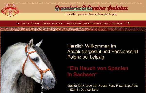 Vorschau von www.pre-zucht.de, El Camino Andaluz