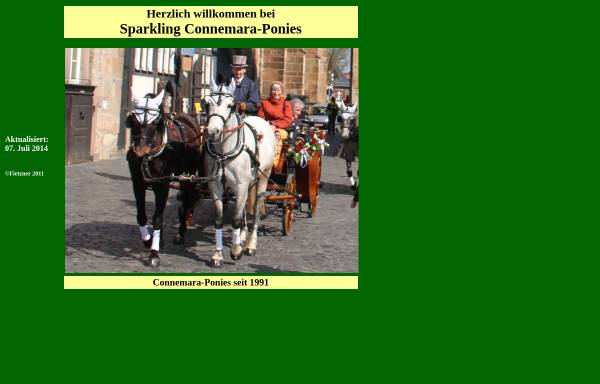Sparkling Connemara-Ponys