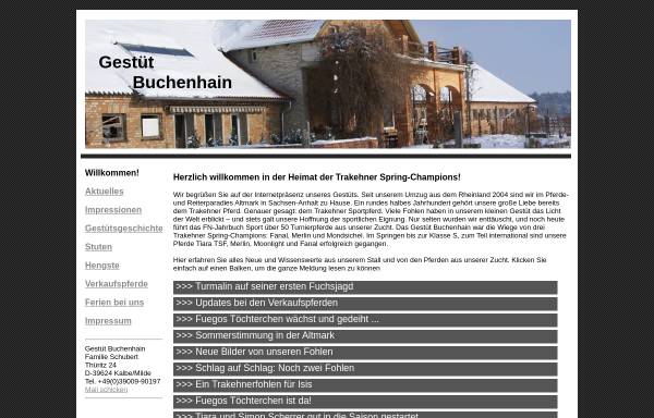 Vorschau von www.buchenhain.de, Gestüt Buchenhain