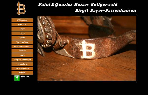 Vorschau von www.westernpferde.de, Paint & Quarter Horses Büttgerwald