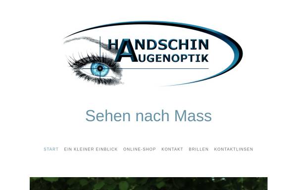 Vorschau von www.handschinaugenoptik.ch, Handshin Augenoptik