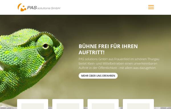 Vorschau von www.pas-solutions.ch, PAS solutions GmbH