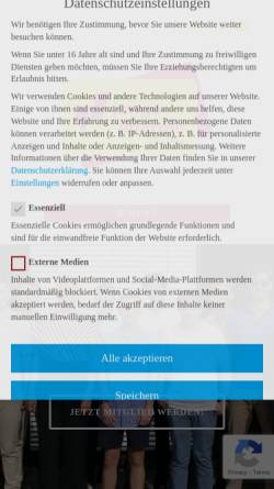 Vorschau der mobilen Webseite julis-holzwickede.de, JuLis - Junge Liberale Holzwickede