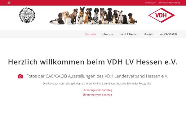 Vorschau von www.vdh-lv-hessen.de, Landesverband Hessen im VDH