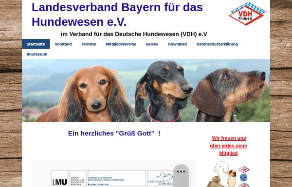 Vorschau von www.vdh-bayern.de, VDH Bayern