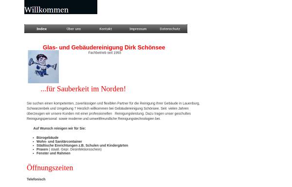 Vorschau von www.dirkschoensee.de, Gebäudereinigung Dirk Schönsee