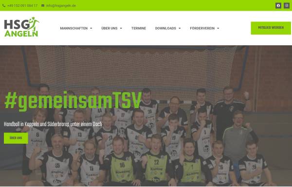 Vorschau von www.sueder-handball.de, TSV Süderbrarup